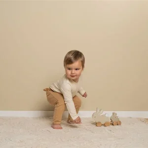 Arrastre conejitos Baby Bunny Little Dutch